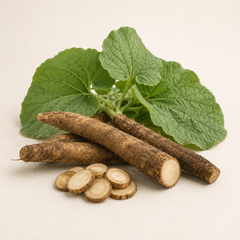 Burdock